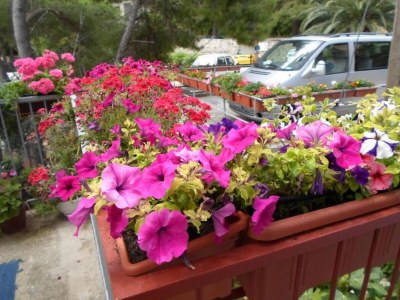 Apartment Guest House Sobra 38 - Double Room with Balcony and External Bathroom 5 - Outdoor photo 19