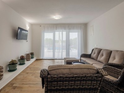 Holiday house Holiday Home Milutin 1 - Four Bedroom Holiday Home with Private Pool - Features photo 9