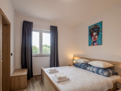 Holiday house Holiday Home Milutin 1 - Four Bedroom Holiday Home with Private Pool - Features photo 27