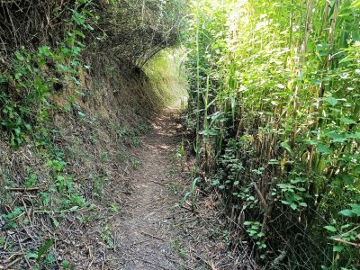 Holiday house Rustic Home in Mieres near Banyoles Lake - Outdoor photo 7