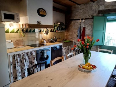 Holiday house Rustic Home in Mieres near Banyoles Lake - Features photo 15