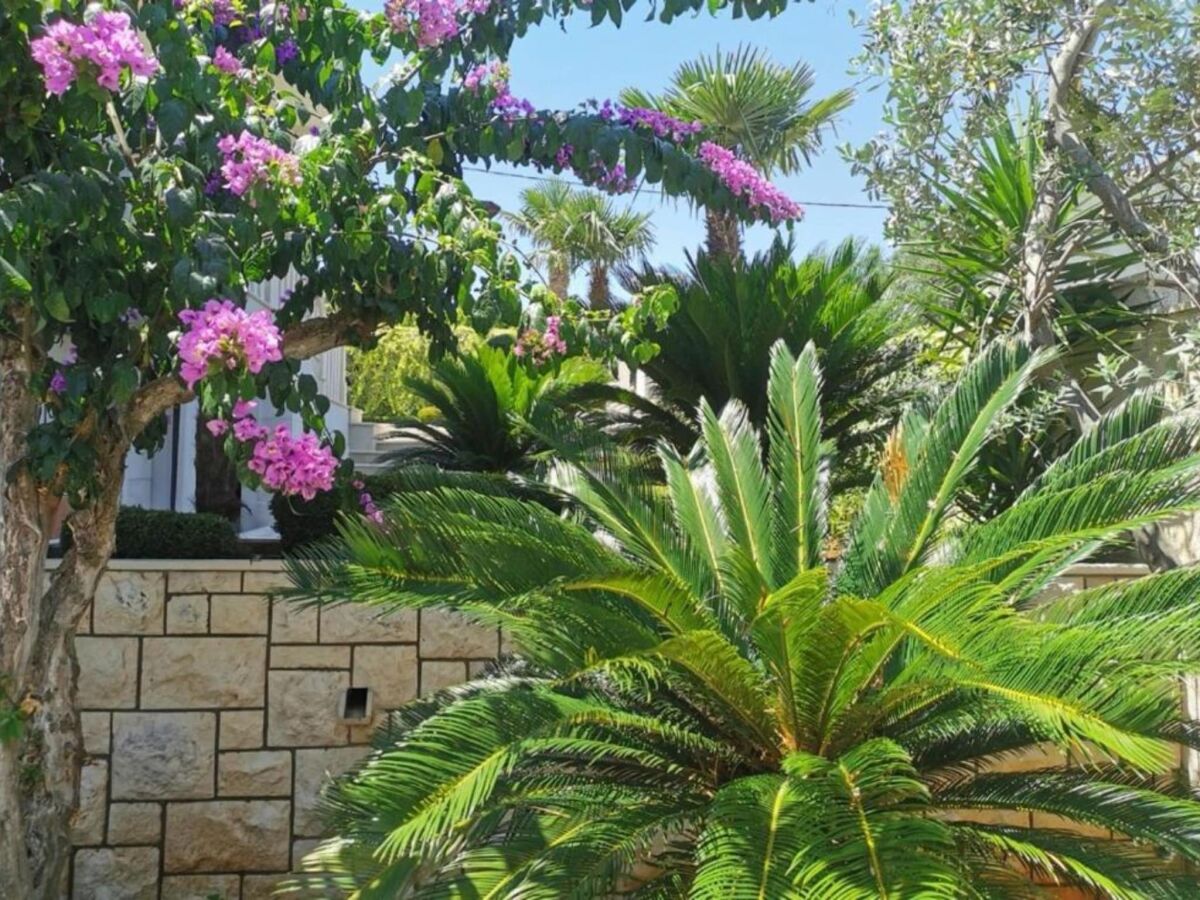 Apartment Apartments White House - Two Bedroom Apartment with Balcony and Sea View 2