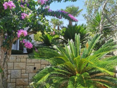 Apartment Apartments White House - Two Bedroom Apartment with Balcony and Sea View 2 in Brač - Apartment