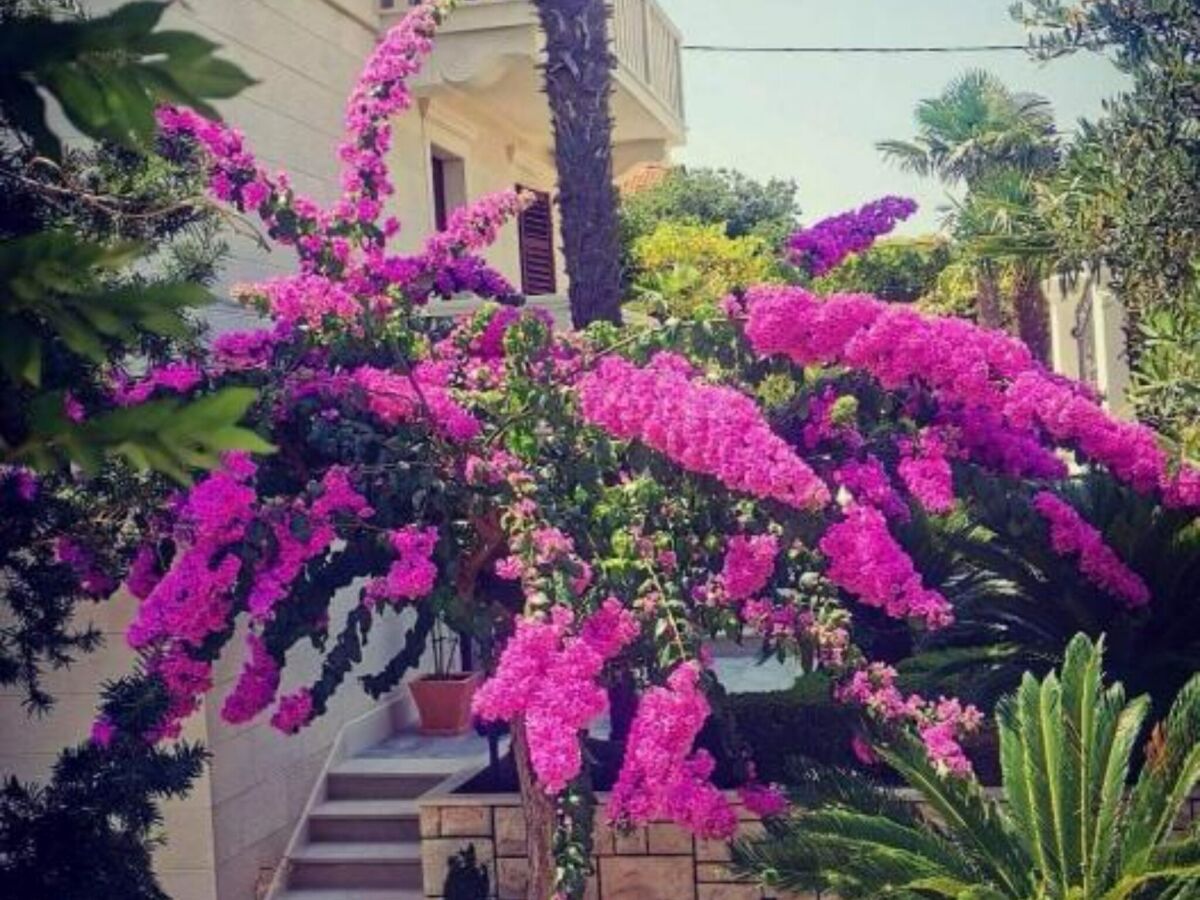 Apartment Apartments White House - Studio Apartment with Balcony and Sea View 3 - Outdoor photo 4