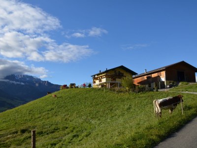 Holiday apartment Farm "Bichlgut" - Outdoor photo 3