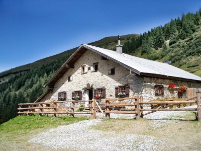 Holiday apartment Farm "Bichlgut" - Outdoor photo 4