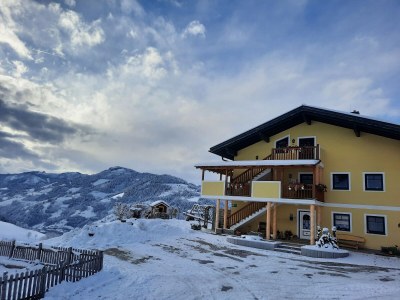 Holiday apartment Farm "Bichlgut" - Outdoor photo 7