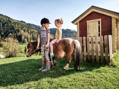 Holiday apartment Farm "Bichlgut" - Environment photo 13