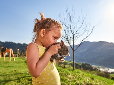 Holiday apartment Farm "Bichlgut" - Environment photo 14