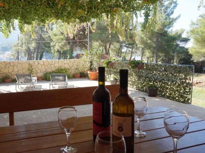 Apartment Beach House Žuljana - Two Bedroom Apartment with Terrace 2 - Outdoor photo 13