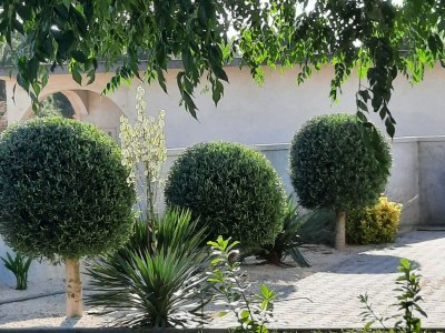 Apartment Apartment Stella Casa Bruno - Two Bedroom Apartment - Outdoor photo 5