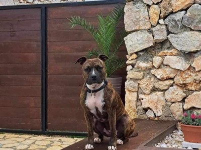 Villa Villa Balamunta - Three Bedroom Villa With Private Pool - Outdoor photo 4