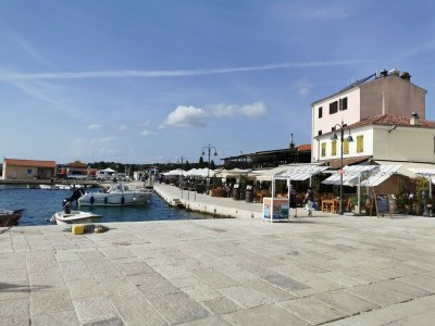Apartment One Bedroom Apartment with Balcony and Sea View in Fažana - Apartment