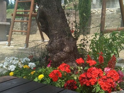 Apartment Apartments Danijela & Vlado - One Bedroom Apartment with Balcony and Garden View in Lopar - Apartment