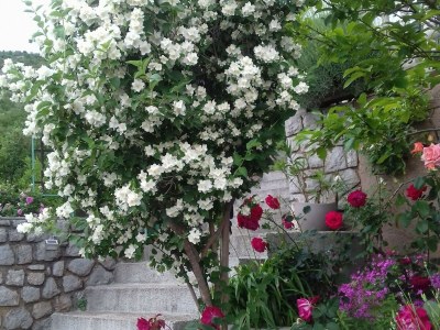 Apartment Apartments Luka & Leona - Two Bedroom Apartment with Balcony Luka - Outdoor photo 27