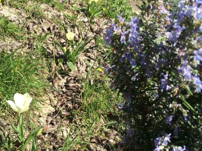 Holiday house Villa Bella - Two Bedroom House - Outdoor photo 11