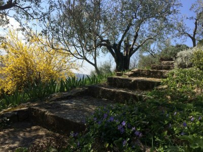 Holiday house Villa Bella - Two Bedroom House - Outdoor photo 17