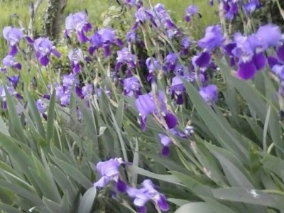 Holiday house Villa Bella - Two Bedroom House - Outdoor photo 23