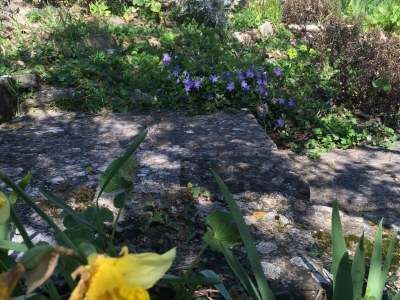 Holiday house Villa Bella - Two Bedroom House - Outdoor photo 24