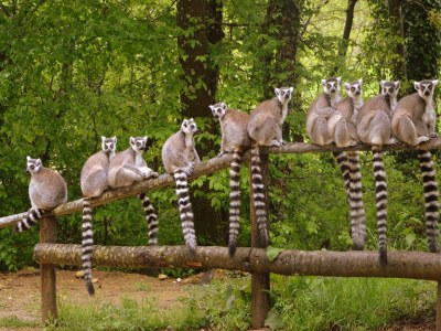 Holiday park Villa in Frankreich mit Pool - Environment photo 36