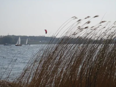 Holiday house House Wagner - Schleiblick Lindaunis - Environment photo 27