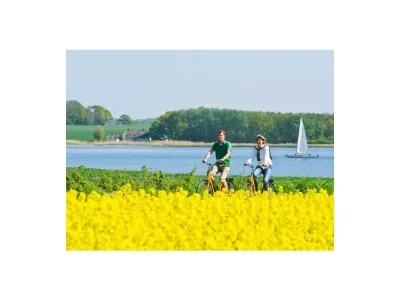 Holiday house House Wagner - Schleiblick Lindaunis - Environment photo 28