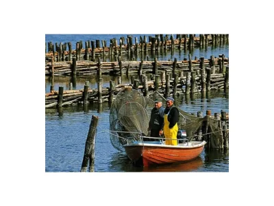 Holiday house House Wagner - Schleiblick Lindaunis - Environment photo 30