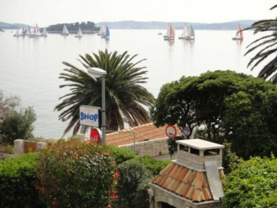 Apartment Seafront Apartments Pretner - Comfort Studio Apartment with Balcony and Sea View in Orebic - Apartment