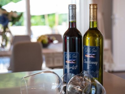 Villa Villa Ivić-Two Bedroom Villa with Swimming Pool - Outdoor photo 9