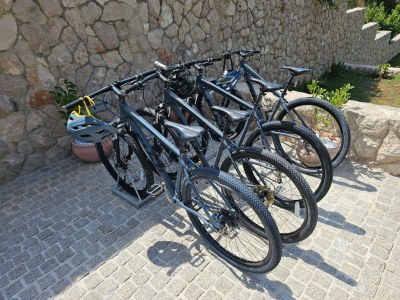 Villa Villa Ivić-Two Bedroom Villa with Swimming Pool - Outdoor photo 13