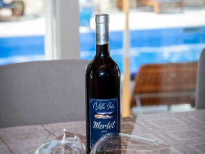 Villa Villa Ivić-Two Bedroom Villa with Swimming Pool - Outdoor photo 17