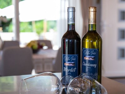 Villa Villa Ivić-Two Bedroom Villa with Swimming Pool - Outdoor photo 19