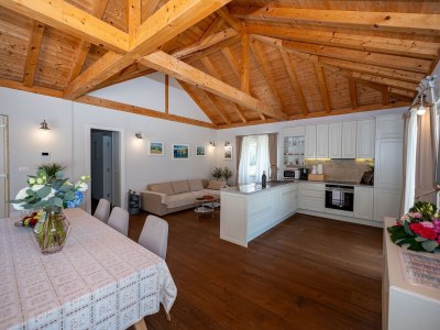 Villa Villa Ivić-Two Bedroom Villa with Swimming Pool - Features photo 50