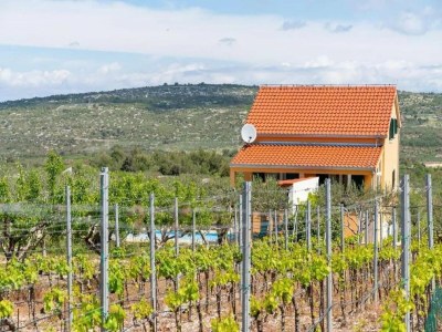 Villa Villa Jelena - Five Bedroom Villa with Swimming pool - Outdoor photo 2