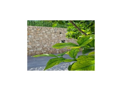 Apartment Luxury apartment Ani - Three Bedroom Apartment with terrace and Swimming pool - Outdoor photo 2