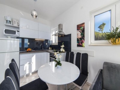 Apartment Apartments Tafra - One Bedroom Apartment - Features photo 3