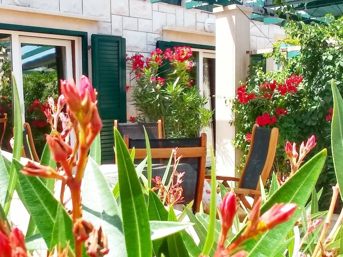 Apartment Apartments Gracin - One Bedroom Apartment with Terrace (A1) - Outdoor photo 5