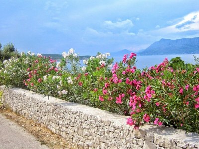 Apartment Apartments Gracin - One Bedroom Apartment with Terrace (A1) in Brač - Apartment