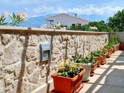 Apartment Apartments Gracin - One Bedroom Apartment with Terrace (A1) - Outdoor photo 3