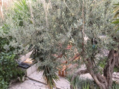 Apartment Apartments Antonio - One Bedroom Apartment with Terrace (Apartment C) - Outdoor photo 9