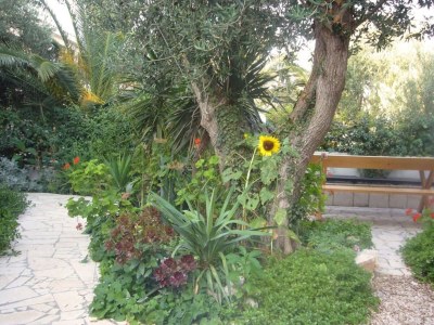 Apartment Apartments Antonio - One Bedroom Apartment with Terrace (Apartment C) - Outdoor photo 17