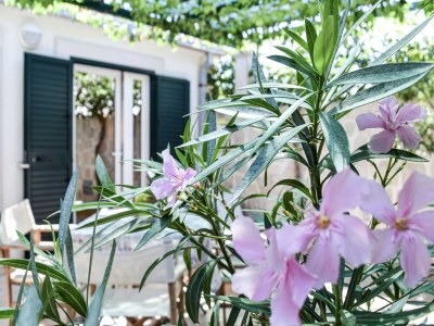 Apartment Apartments Gracin - Premium One Bedroom Apartment with Terrace (A3) - Outdoor photo 6