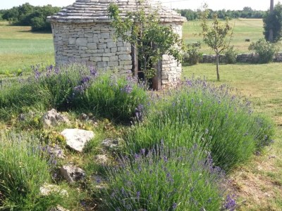 Apartment Authentic Istrian Rooms for Unforgettable Stays - Triple Room - Outdoor photo 7