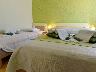 Apartment Authentic Istrian Rooms for Unforgettable Stays - Triple Room - Features photo 11