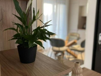 Apartment One Bedroom Apartment with Balcony and City View - Features photo 16