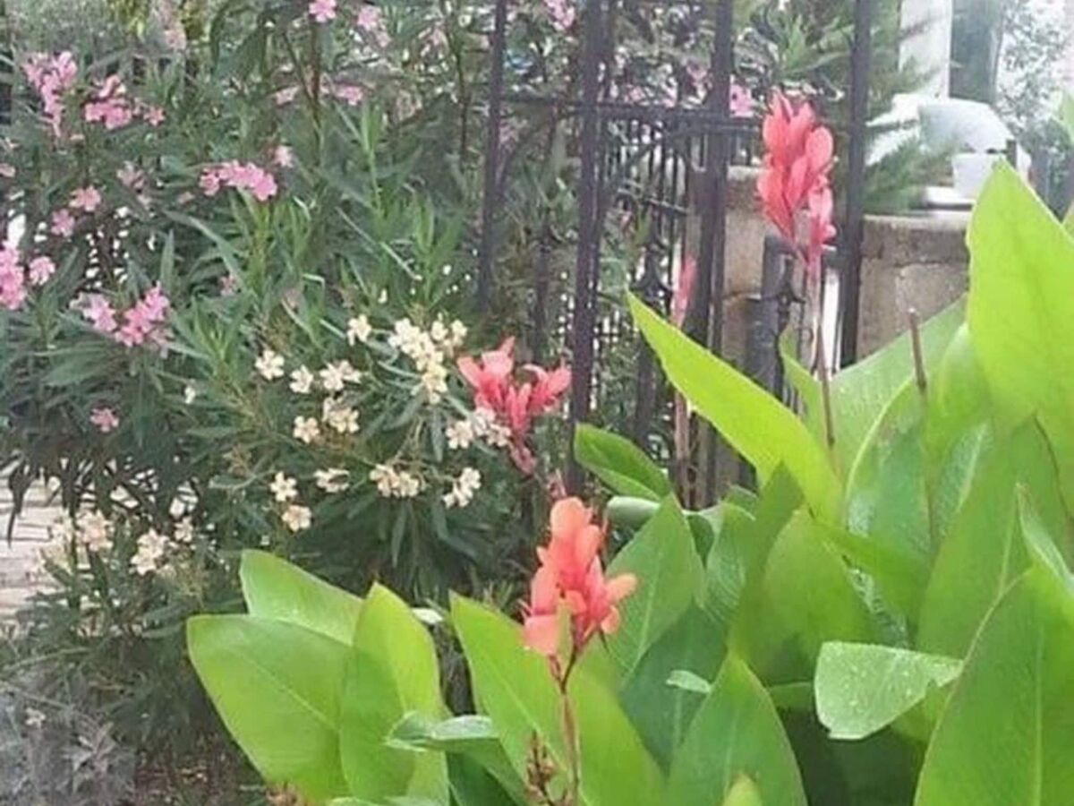 Apartment Apartments Štrbić - One Bedroom Apartment - Karlo