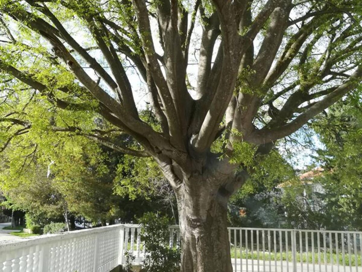 Apartment Apartments Štrbić - One Bedroom Apartment - Karlo - Outdoor photo 4