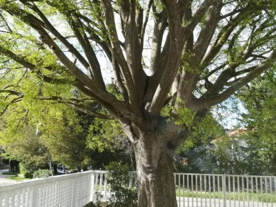 Apartment Apartments Štrbić - One Bedroom Apartment - Karlo - Outdoor photo 4