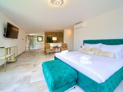 Villa Wellness Villa- Four Bedroom Villa with Swimming pool - Features photo 37