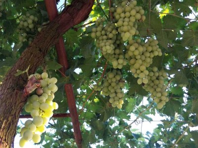 Holiday house One Bedroom Holiday Home - Outdoor photo 23